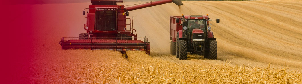 Economía Agrícola, RR.NN. y Agronegocios