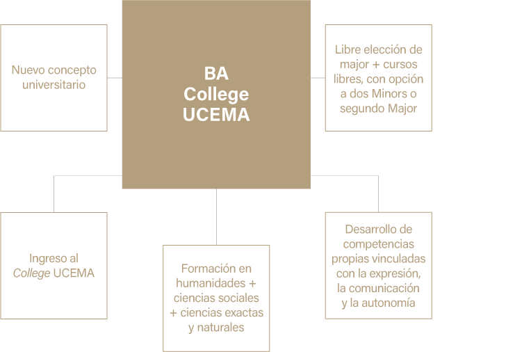 Perfil - BA