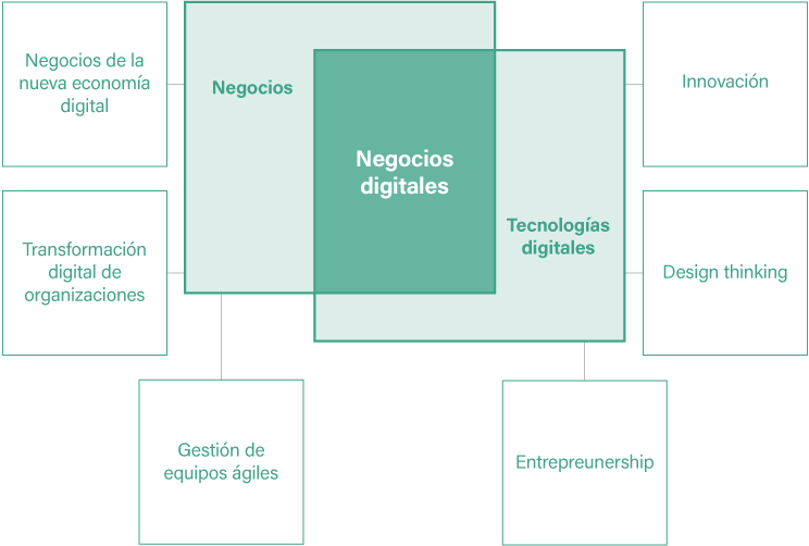 Perfil de nuestros estudiantes - Negocios Digitales