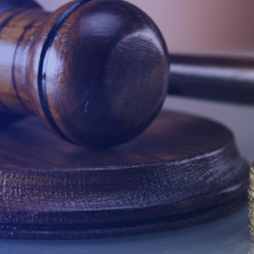 Economía, Derecho y Teorías Críticas