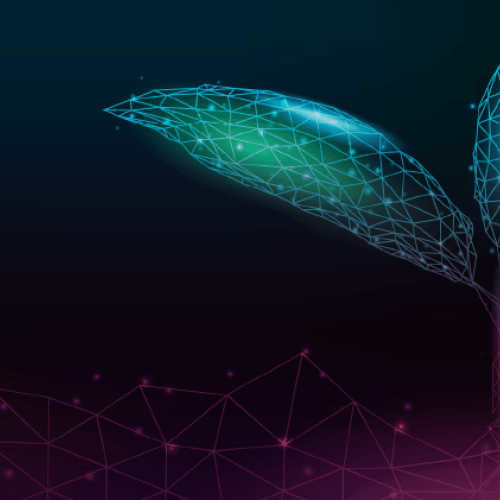 Posgrado en Desarrollo y Gestión de AgTechs