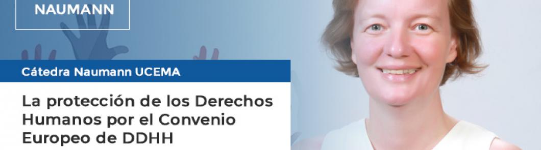 The protection of Human Rights by the European Convention of Human Rights