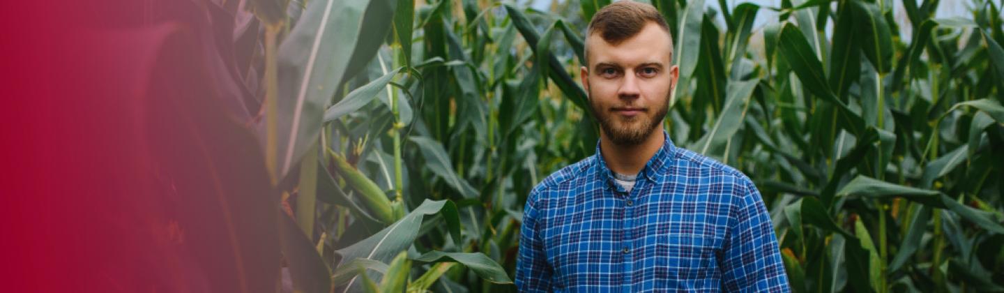 MAG - Maestría en Agronegocios