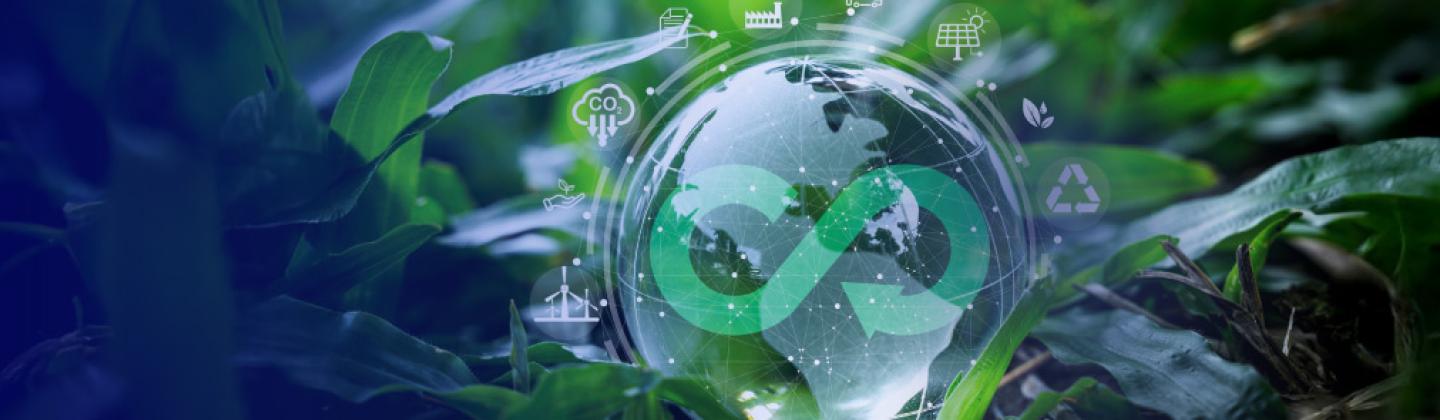 Transformación circular de los negocios y su cadena de valor